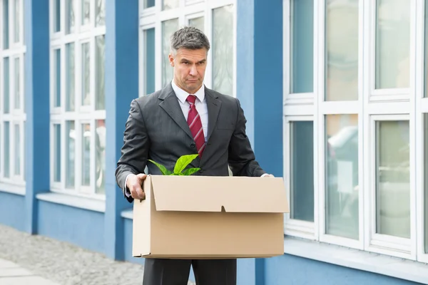 Businessman Carrying Box — Stock Photo, Image
