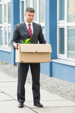 işadamı taşıma kutusu