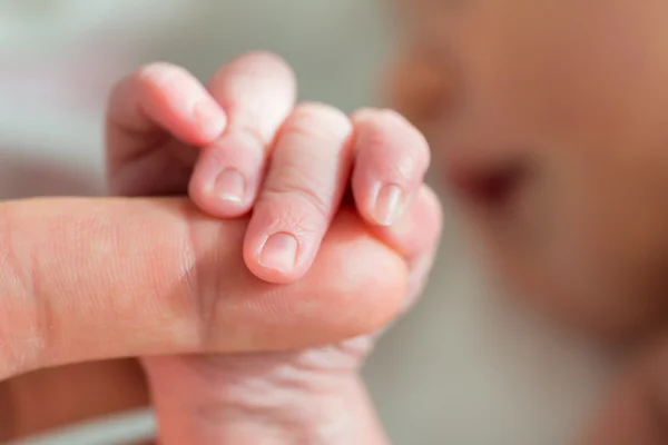 Baby holding mother 's finger — стоковое фото