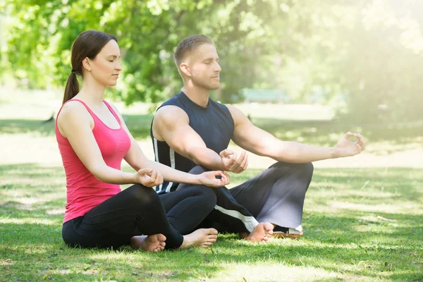 Par gör Yoga i Park — Stockfoto