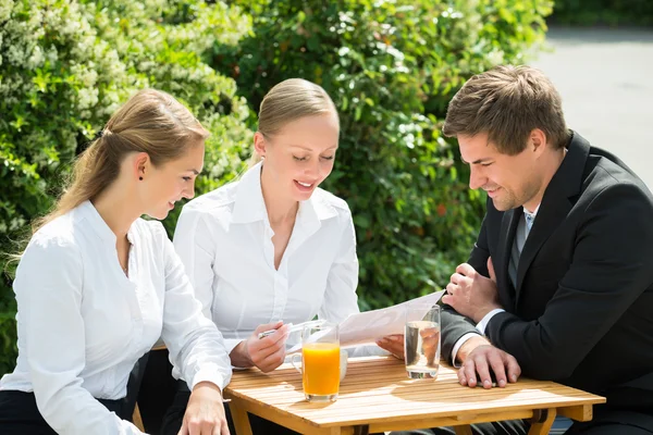 Ondernemers kijken naar Document — Stockfoto