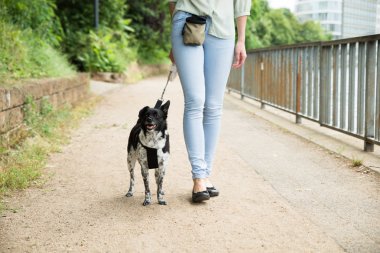 Köpeğiyle yürüyen bir kadın.