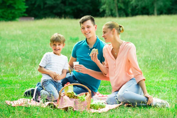 Padres con su hijo disfrutando en el picnic —  Fotos de Stock