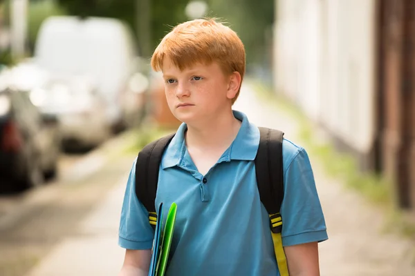 Colegial con carpeta en camino a la escuela —  Fotos de Stock