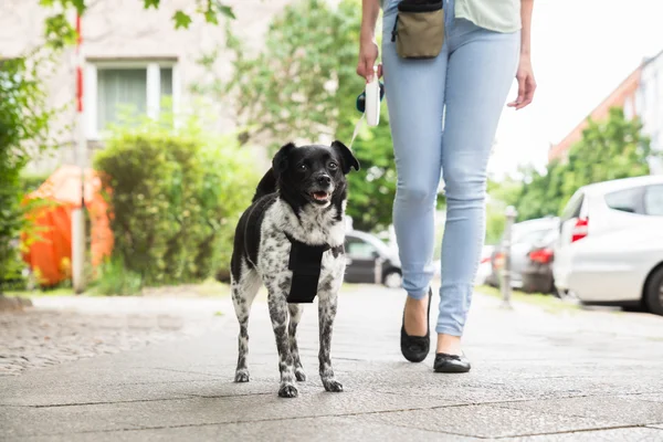 Woman Walking With Her Dog — Stock Photo, Image