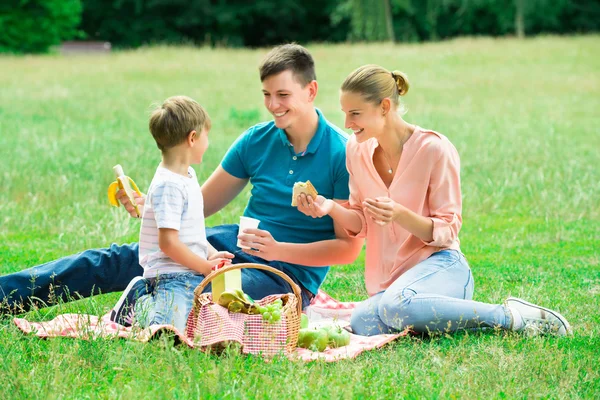 Família fazendo piquenique no parque — Fotografia de Stock