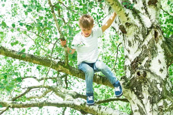Niño sentado en el árbol —  Fotos de Stock
