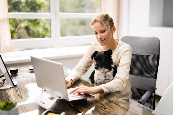 Zakelijke Vrouwen Werken Laptop Computer Met Hond — Stockfoto
