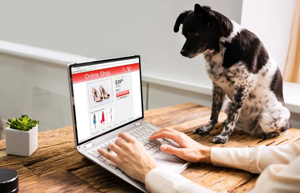 Mujer Comprar Productos Línea Ordenador Portátil Con Perro — Foto de Stock