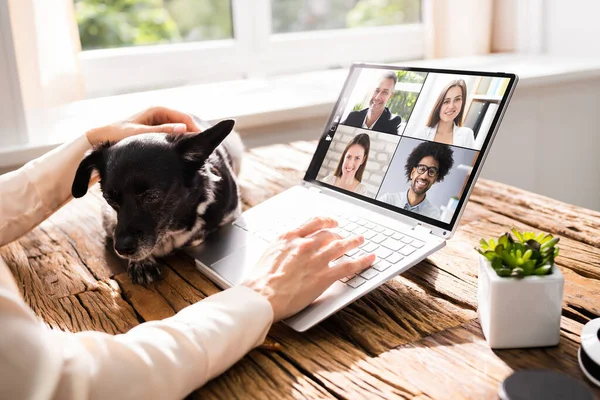 Vídeo Conferência Webinar Chamada Com Cão Reunião Trabalho Online — Fotografia de Stock