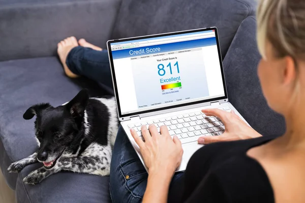 Credit Score Check Online Business Loan — Stock Photo, Image