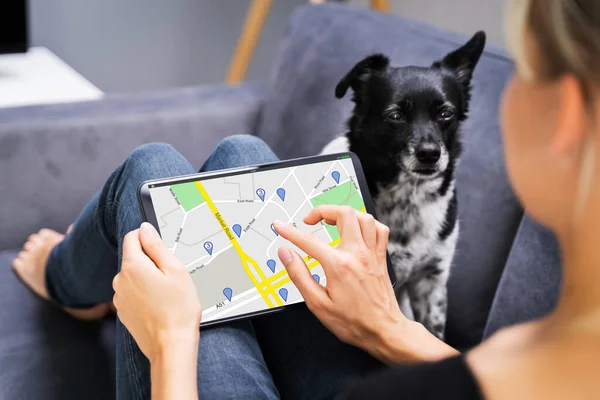 用宠物狗把Gps导航地图放在版块上 — 图库照片
