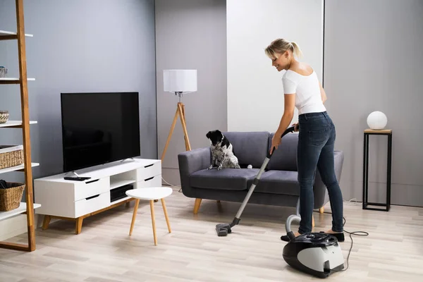 Young Maid Cleaning Carpet Vacuum Cleaner Home — Stok Foto