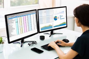 Analizci Denetleyici Bilgisayar Ekranında Elektronik Hesap Tablosu