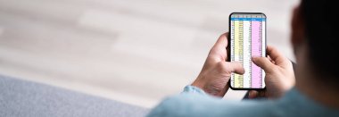 Analizci Çalışanı Cep Telefonu Ekranında Hesap Tablosu Kullanıyor