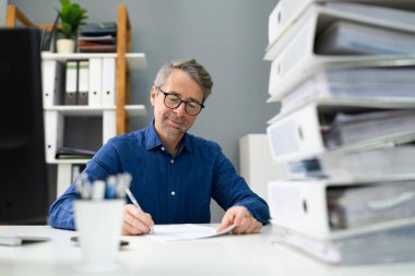 Mutlu Profesyonel Muhasebeci Şirket Masasında Profesyonel İşadamı