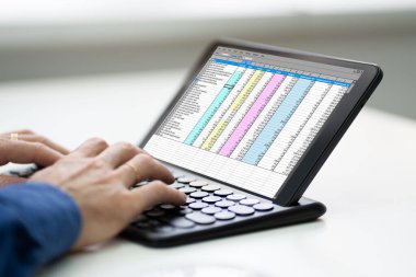 Ekranda Sayısal Yazılım Hesap Tablosu Raporu Çalışıyor