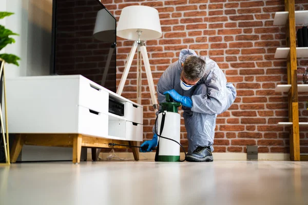 Ongediertebestrijding Verdelgingsdiensten Spuiten Termiet Insecticide — Stockfoto