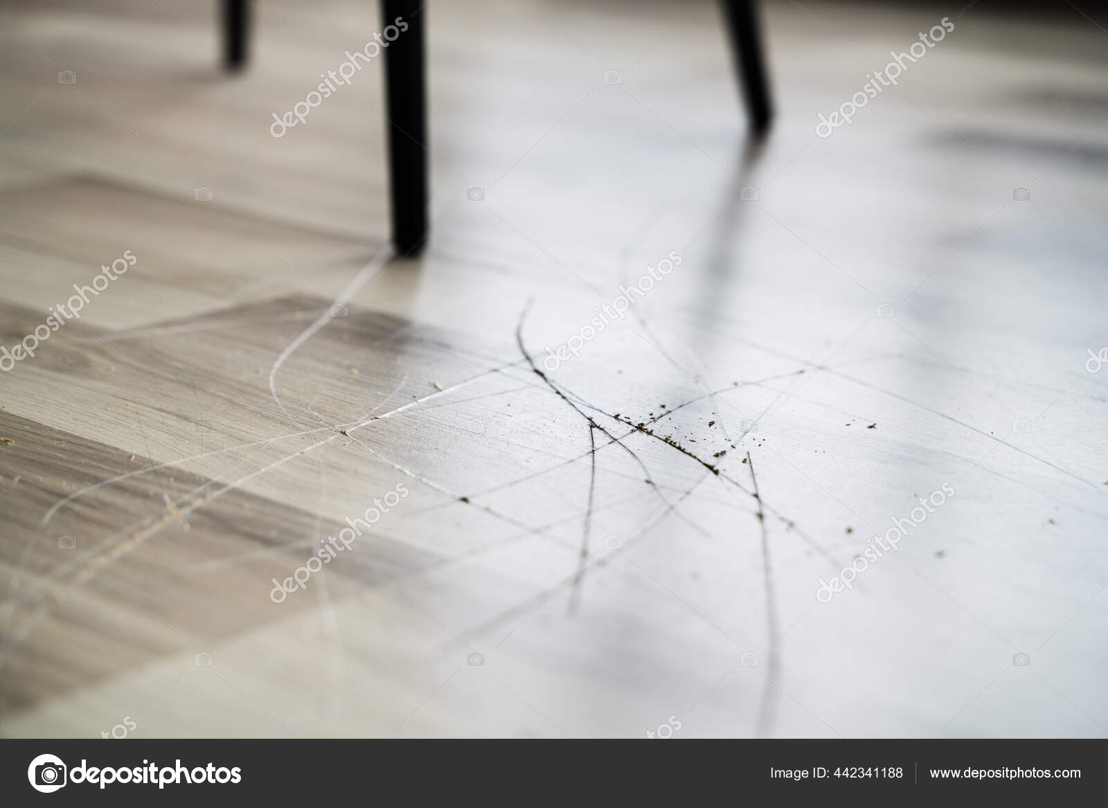 Scratched Laminate Floor Damage Destroyed House Flooring Stock Photo by