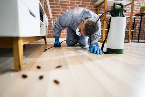 Schädlingsbekämpfung Kammerjäger Dienstleistungen Spritzen Schabe Insektizid — Stockfoto