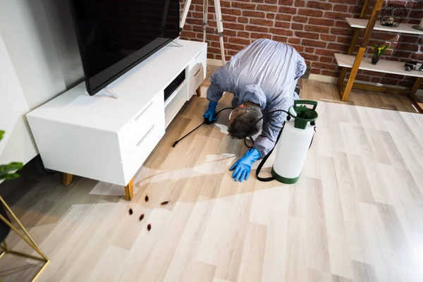 Pest Control Exterminator Services Spraying Cockroach Insecticide — Stock Photo, Image