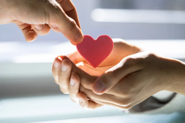 African American Woman Charity Gift Donation — Stock Photo, Image