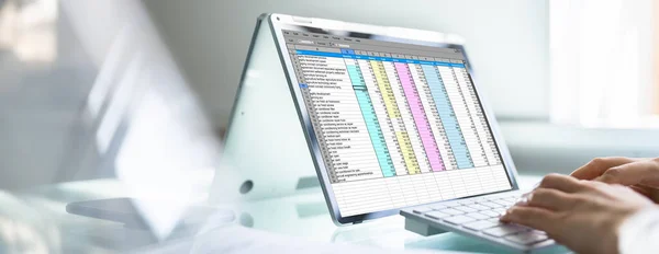 Financiële Spreadsheet Analist Vrouw Met Behulp Van Software Laptop — Stockfoto