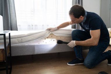 Yatak Böceği İstilası ve Tedavi Servisi. Böcek İmha