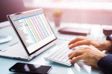 Analyst Auditor Using Electronic Spreadsheet On Hybrid Laptop Screen