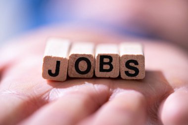 Danışman Kariyer Arama ve İşe Alma. İş Arayıcı