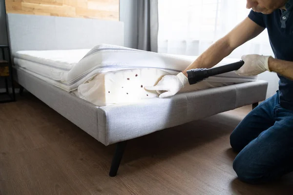 Bed Bug Infestation Treatment Service 약자이다 — 스톡 사진