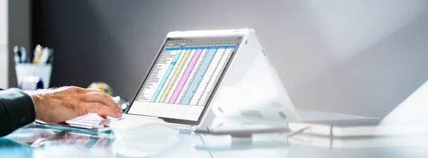 Elektronisk Kalkylblad Programvara Analytiker Eller Revisor Laptop — Stockfoto