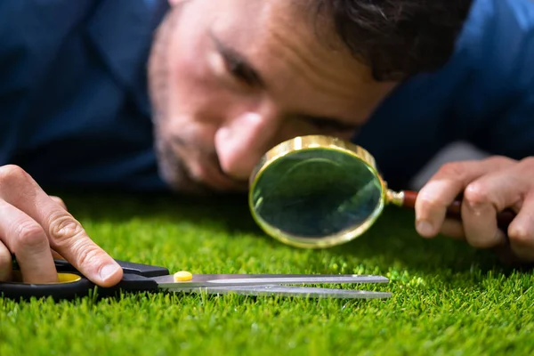 Compulsive Obsessive Disorder Perfectionist Cutting Garden Grass — Stock Photo, Image