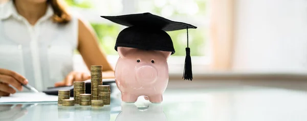 Piggy Bank Financial Education And Safe Money