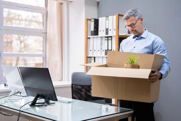 Job Quit Employee Holding Cardboard Box Desk — Stock Photo, Image