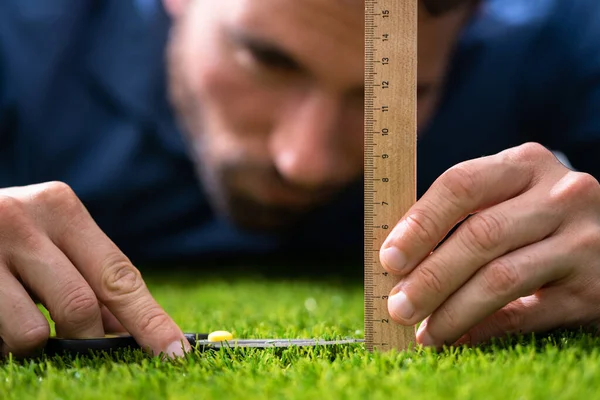 Transtorno Obsessivo Compulsivo Perfeccionista Que Mede Grama Jardim — Fotografia de Stock