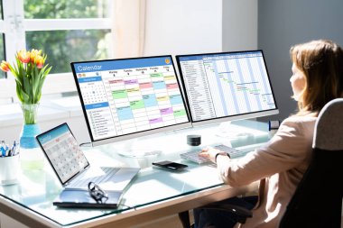 Bilgisayarda Takvim Ajandasında Çalışan Kadın Programı