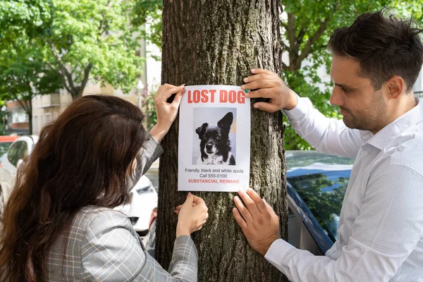 Плакат Потерянной Собаке Пропуск Щенка Pet Paper — стоковое фото