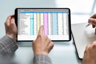 Electronic Spreadsheet On Financial Analyst Or Auditor Computer