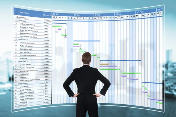 Digitális Gantt Menetrend Menetrend Jelentések Ellenőrzése — Stock Fotó