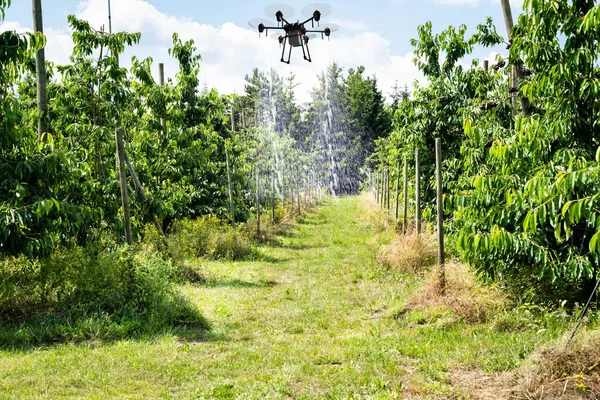 Tecnologia Pulverização Campo Copter Agricultura Farm Drone — Fotografia de Stock