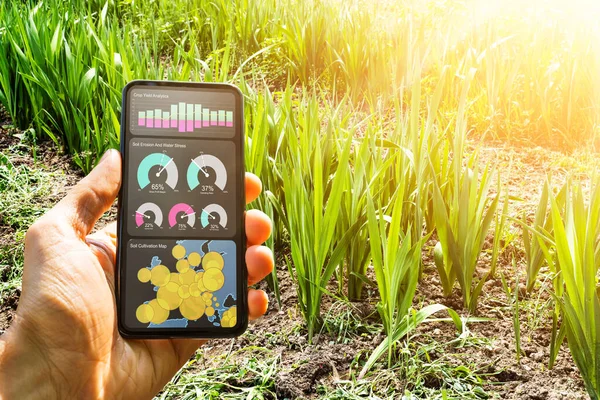 Smart Farming Digitaltechnologie Und Landwirtschaftssystem — Stockfoto