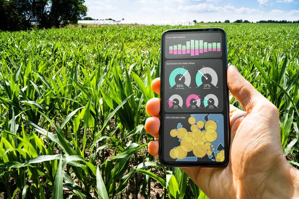 Tecnologia Agricultura Inteligente Fazenda Milho Sistema Agrícola — Fotografia de Stock