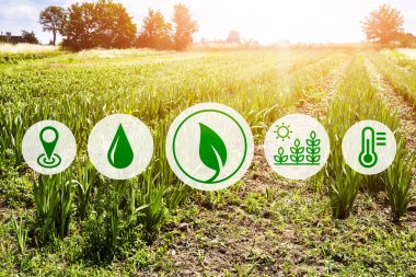 Akıllı E Tarım Dijital Teknolojisi ve Tarım Sistemi