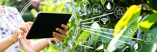 Smart Farming Digital Technology Agricoltura App Fattoria — Foto Stock