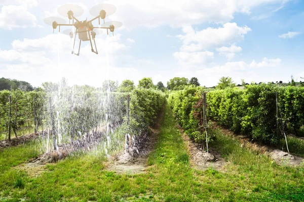 Tecnologia Pulverização Campo Copter Agricultura Farm Drone — Fotografia de Stock