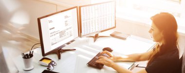 İş Bilgisayarında Kadın Muhasebe. Finans Yazılımı