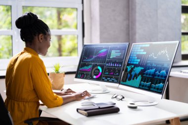 Finansal İş Analitik Veri Paneli. Analist Kadın