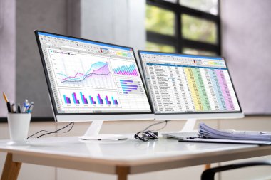 Veri Analisti Hesap Çizelgesi ve Bilgisayar Raporu