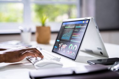 Finansal İş Analitik Veri Paneli. Analist Kadın